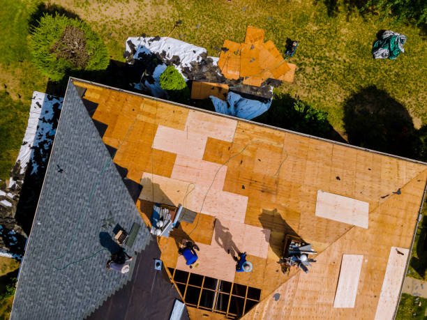 Best Roof Maintenance Services  in Skidmore, TX