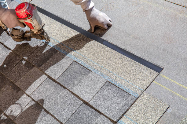 Best Metal Roofing Contractor  in Skidmore, TX